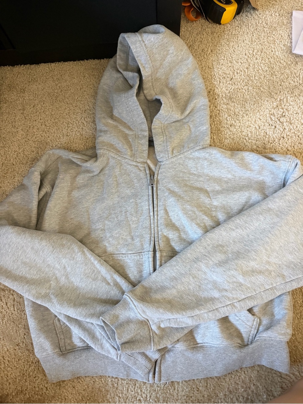 Aritzia Terry Fleece Cropped Hoodie